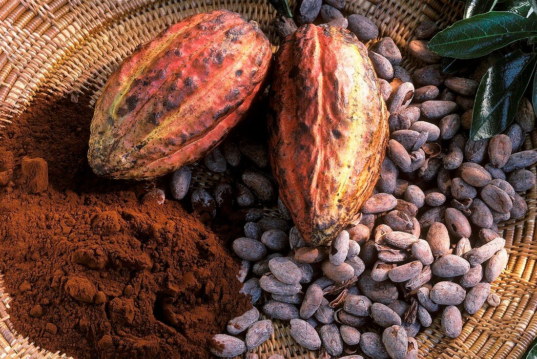 100% Raw Cocoa Beans