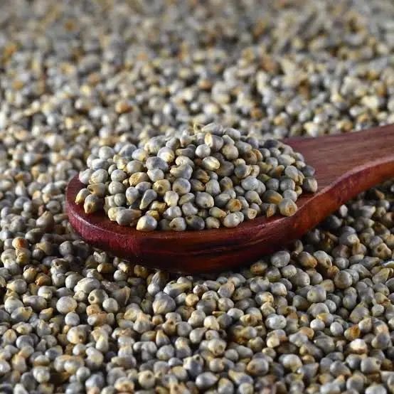 Premium Pearl Millets