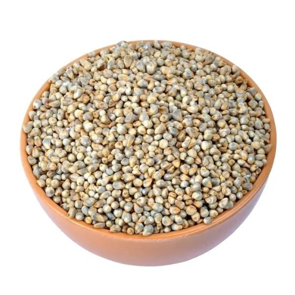Premium Pearl Millets