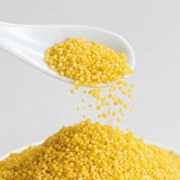 High Quality Yellow Millets