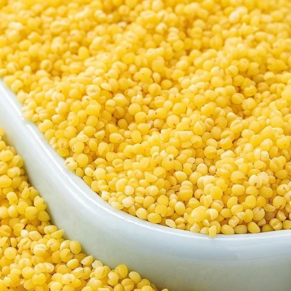 High Quality Yellow Millets