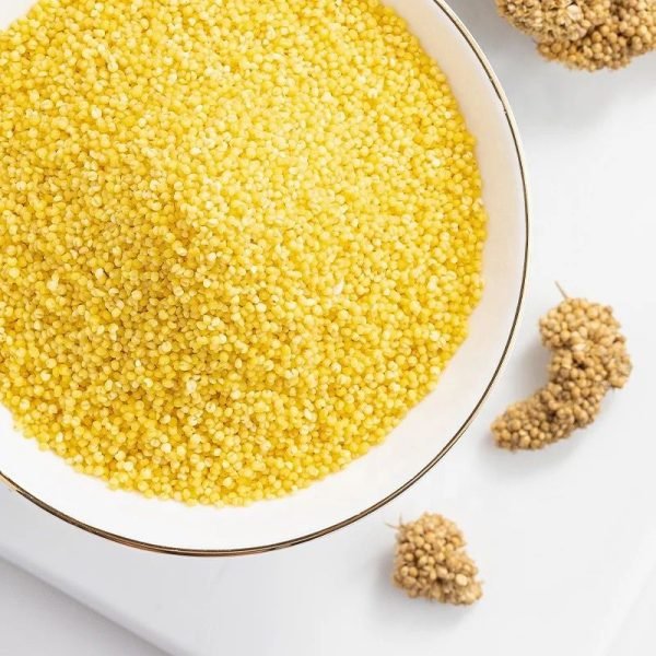High Quality Yellow Millets